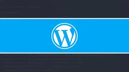 Professional WordPress Theme & Plugin Development