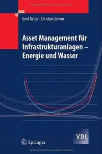 Asset Management für Infrastrukturanlagen - Energie und Wasser (VDI-Buch)