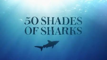 NG. - 50 Shades of Sharks (2020)
