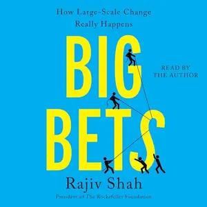 Big Bets: How Large-Scale Change Really Happens [Audiobook]