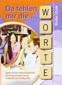 Da fehlen mir die Worte: Systematischer Wortschatzerwerb für fortgeschrittene Lerner in Deutsch als Fremdsprache
