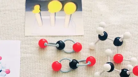 Montessori Elementary Chemistry Course