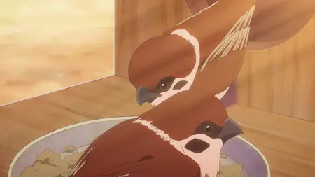 Ranma 1 2 (2024) - S01E11 (1080p