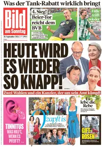 Bild am Sonntag - 20 September 2026