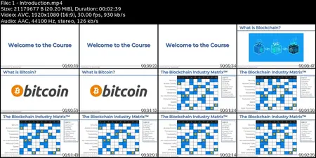 Introduction to Blockchain: Industry Applications + ChatGPT