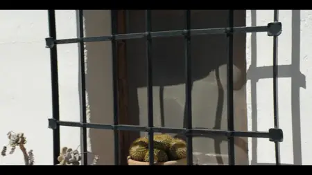 Graves S01E02