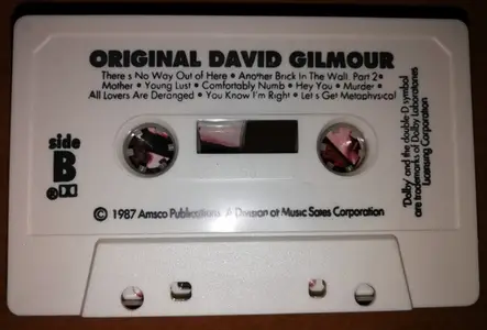 Steve Tarshis, "Original David Gilmour" with Audio