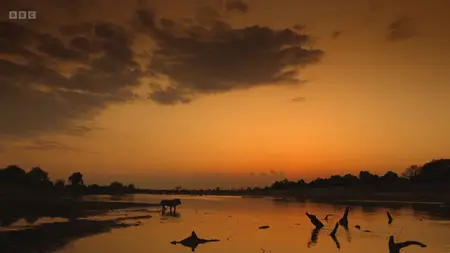 BBC Kingdom with David Attenborough (2025)