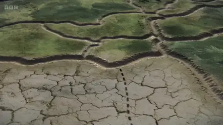 BBC Kingdom with David Attenborough (2025)