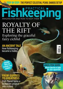 Practical Fishkeeping - November 2024