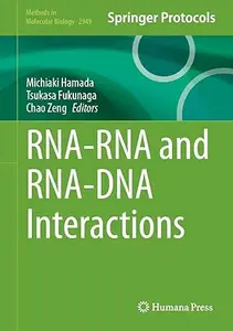 RNA-RNA and RNA-DNA Interactions