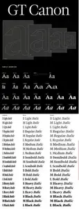 GT Canon - New  2026's Biggest 224 Styles Font Family $1512