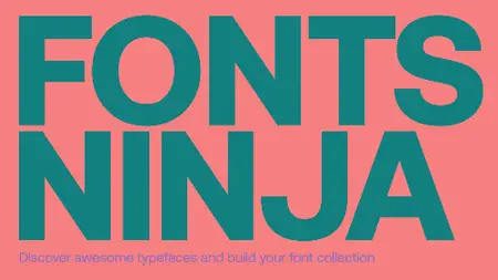 W Type Foundry - Saes Grotesk