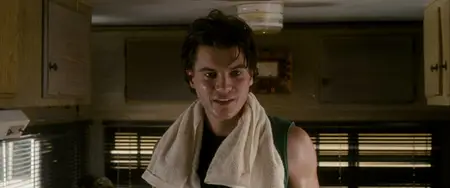 Into the Wild (2007) [MultiSubs] + Extras