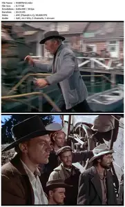 Bend of the River (1952)