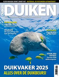 Duiken - Januari 2025