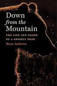 Down From The Mountain: The Life and Death of a Grizzly Bear
