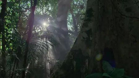 Nightmares of Nature S02E01