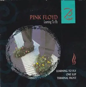 Pink Floyd ‎- Learning To Fly