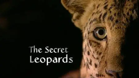 BBC Natural World - The Secret Leopards (2010)