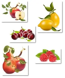 Photorealistic Fruits