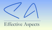 Effective Asspects Products 2008