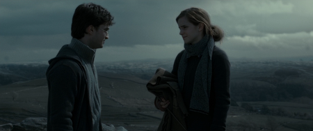 Harry Potter and the Deathly Hallows: Part 1 (2010)