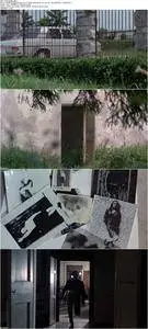 A Quiet Place in the Country (1968)