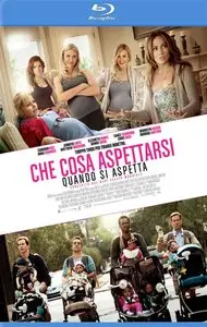 Che cosa aspettarsi quando si aspetta (2012)