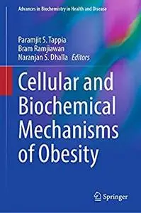 Cellular and Biochemical Mechanisms of Obesity