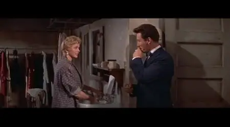 Love Me or Leave Me (1955)