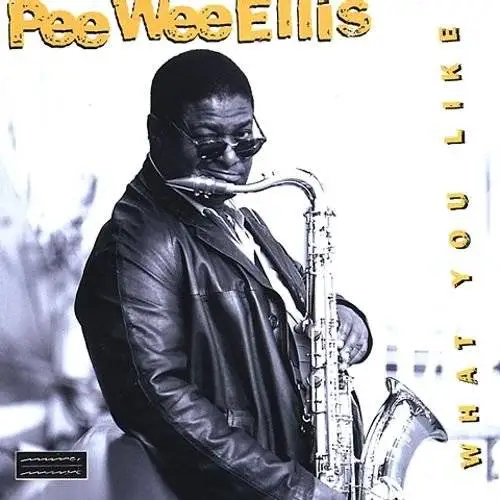 Pee Wee Ellis - What You Like (1997)