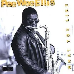 Pee Wee Ellis - What You Like (1997)