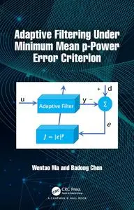 Adaptive Filtering Under Minimum Mean p-Power Error Criterion