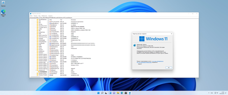 Windows 11, Version 21H2 Build 22000.258 Business & Consumer edition