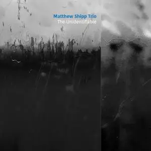 Matthew Shipp Trio - The Unidentifiable (2020)