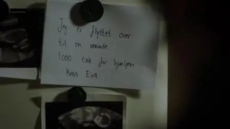 The Killing S03E08