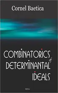 Combinatorics of Determinantal Ideals