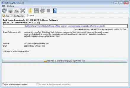 Bulk Image Downloader 5.31.0 Multilingual