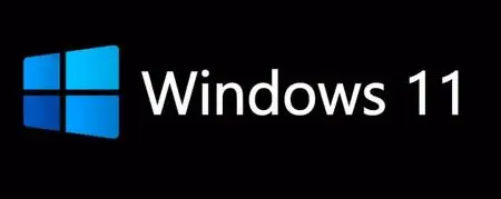 Windows 11 Pro Insider Preview 10.0.22000.160 (x64) Multilanguage