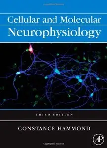 Cellular and Molecular Neurophysiology, Third Edition (repost)