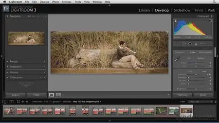 Lynda - The Elements of Effective Photographs