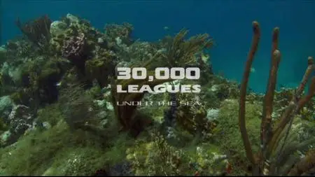 (Adventure) 30,000 Leagues Under the Sea [DVDrip] 2007 