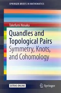 Quandles and Topological Pairs: Symmetry, Knots, and Cohomology