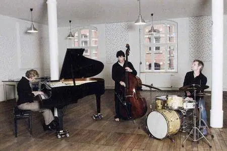 Julia Hulsmann Trio - The End Of A Summer (2008)