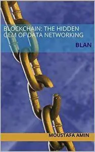 Blockchain: The Hidden Gem of Data Networking: BLAN