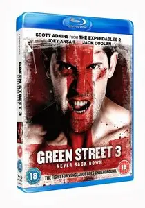 Green Street 3: Never Back Down (2013)
