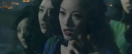 I Fiori della Guerra (2011)
