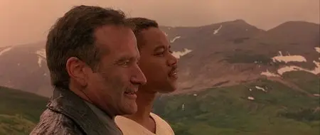 What Dreams May Come (1998)