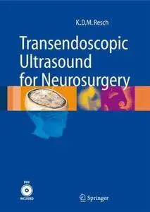 Transendoscopic Ultrasound for Neurosurgery (Repost)